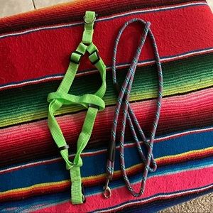 🐾 Pet harness & leash for medium size pet colors green and multi color New items